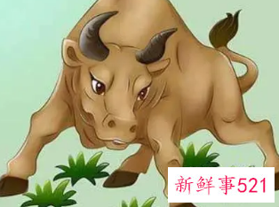 属牛的适合佩戴什么材质手串