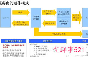 公司经营模式怎么填写