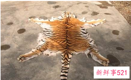 梦见剥动物皮是什么意思