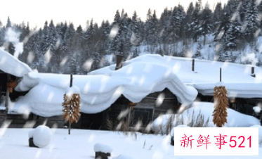 下雪要注意什么