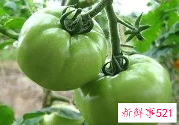 流产后必吃的12种蔬菜