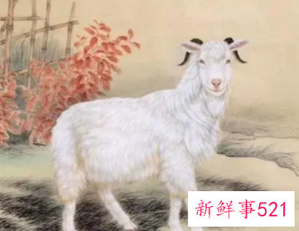 十羊九苦哪俩月羊最苦