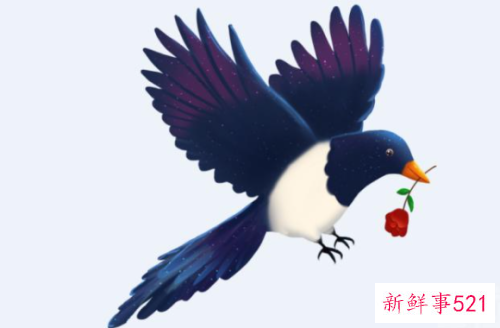 梦见一群喜鹊代表着什么