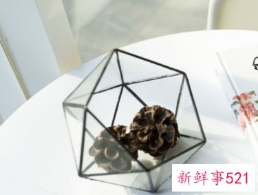 开业活动营销策划方案