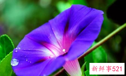 怎么夸五十岁的女人越来越漂亮