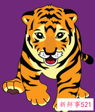 虎年宝宝小名洋气男孩满满