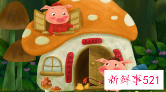 属猪运势及运程