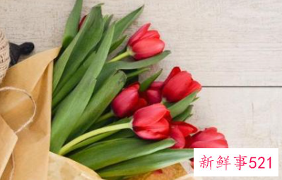 摩羯男与水瓶男哪个更好