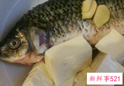 鲤鱼炖豆腐是加开水还是冷水