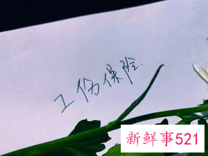 工伤范围包括哪些内容