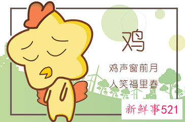 属鸡男会不会主动追求女孩吗