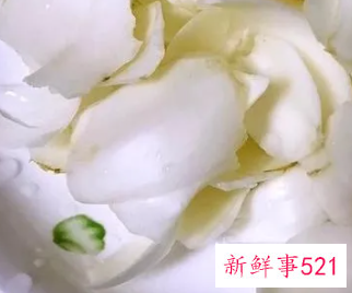 女人多吃百合有什么好处