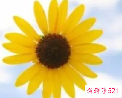 2021年团员自我鉴定