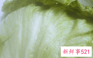 白菜的营养价值及功效