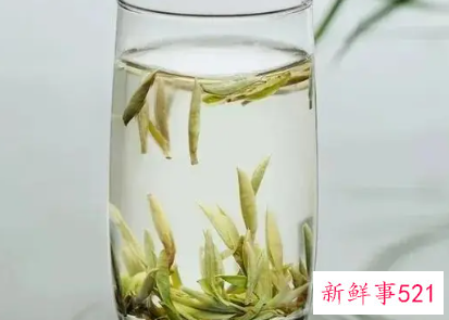 白毫银针怎么储存