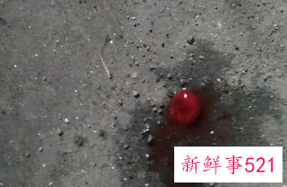 梦见母亲下身流血是什么意思