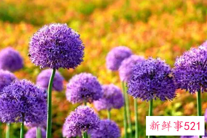 女人厌倦男人的表现