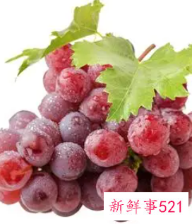 红提最佳保存温度