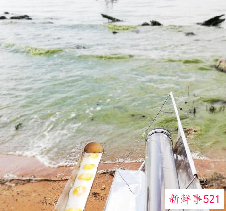 准备周末野餐的步骤