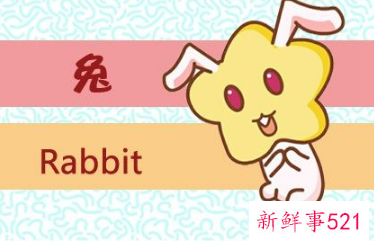 生肖的婚姻最佳配对