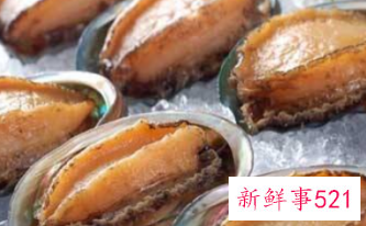 鲍鱼的营养价值