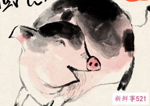 十生肖哪几个是女肖