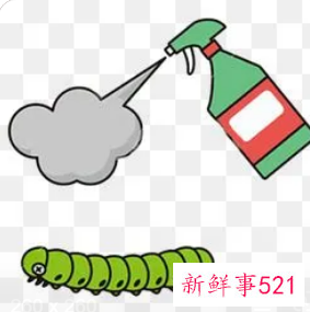 房间有虫子爬到床上怎么办