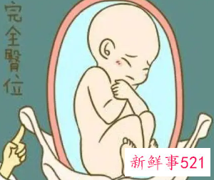 臀位晚上用枕头垫高可以转正