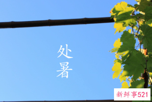 处暑是什么季节的节气