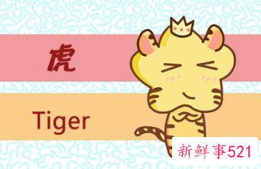 生肖的婚姻最佳配对