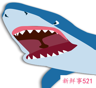 鲨鱼和鲸鱼是鱼吗