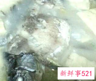 鲤鱼炖豆腐是加开水还是冷水