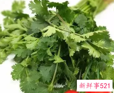 女生为啥不吃香菜