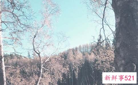 秋季护肤需要知道哪些小常识