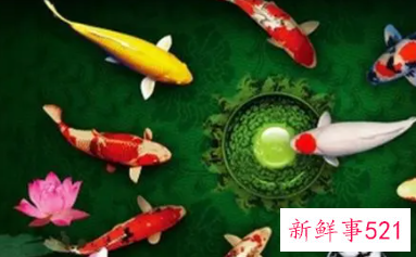 店面风水这么改招财