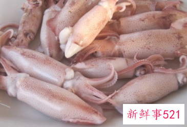 鱿鱼的功效与作用及营养价值