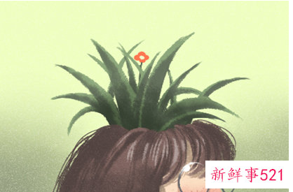 大门口种什么花能旺财