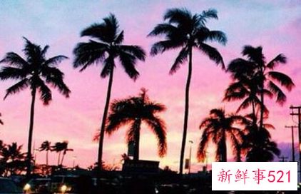 表白情话100字英文