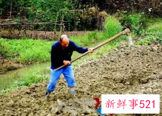 梦见劳动什么寓意