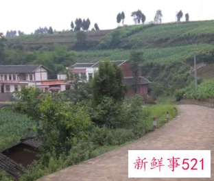 学生家庭基本情况要怎么写