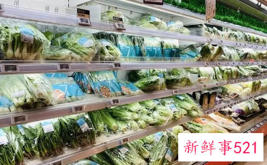 不少地区绿叶菜价格开始明显回落怎么回事