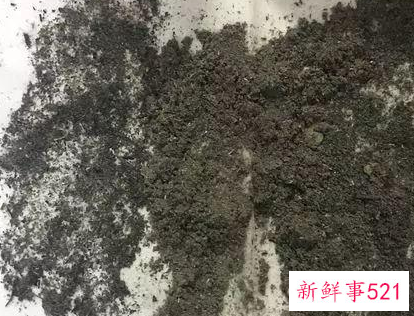 施草木灰对养花的好处