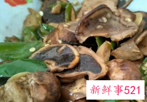 吃起来脆脆的蘑菇是什么