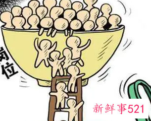 应届大专毕业生找工作