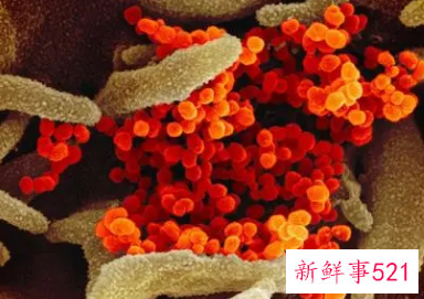 艾滋病毒能否在物体表面存活