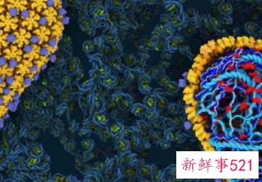 艾滋病毒能否在物体表面存活