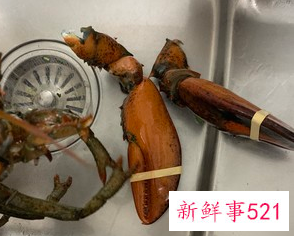 龙虾的做法大全简单