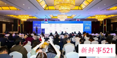 年会心得体会范文1000字