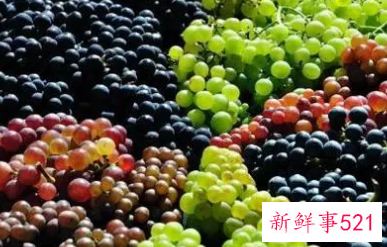 青葡萄的营养价值及功效与作用