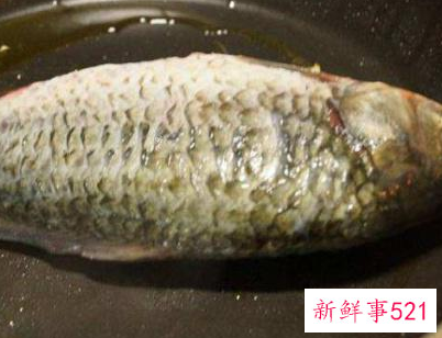 鲤鱼炖豆腐是加开水还是冷水